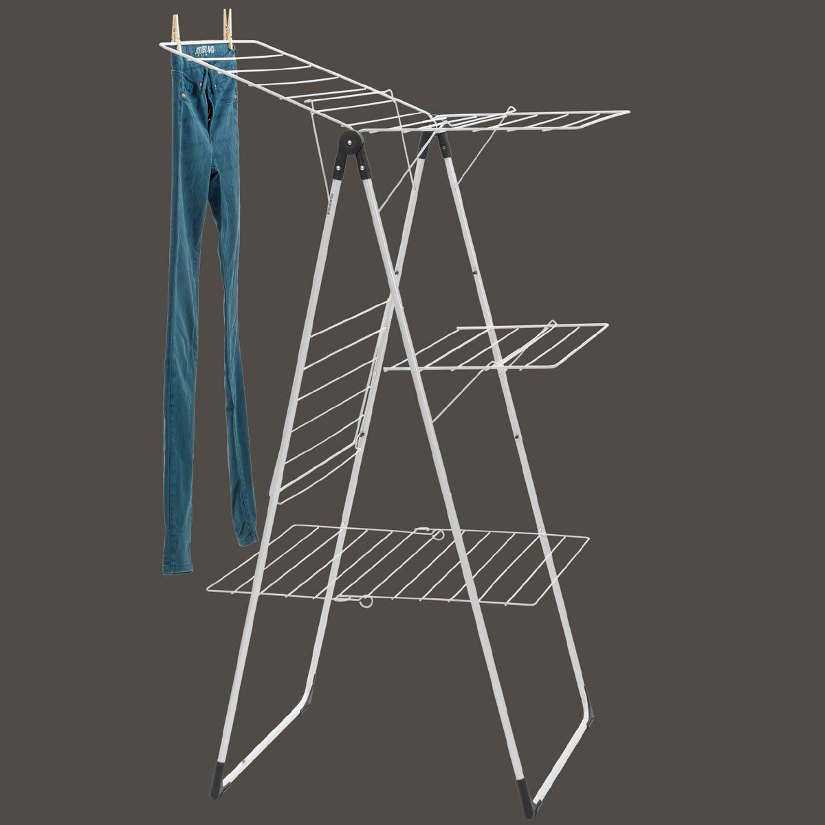 23 brabantia 1