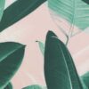 b 124 38 8 tropical leaves 4