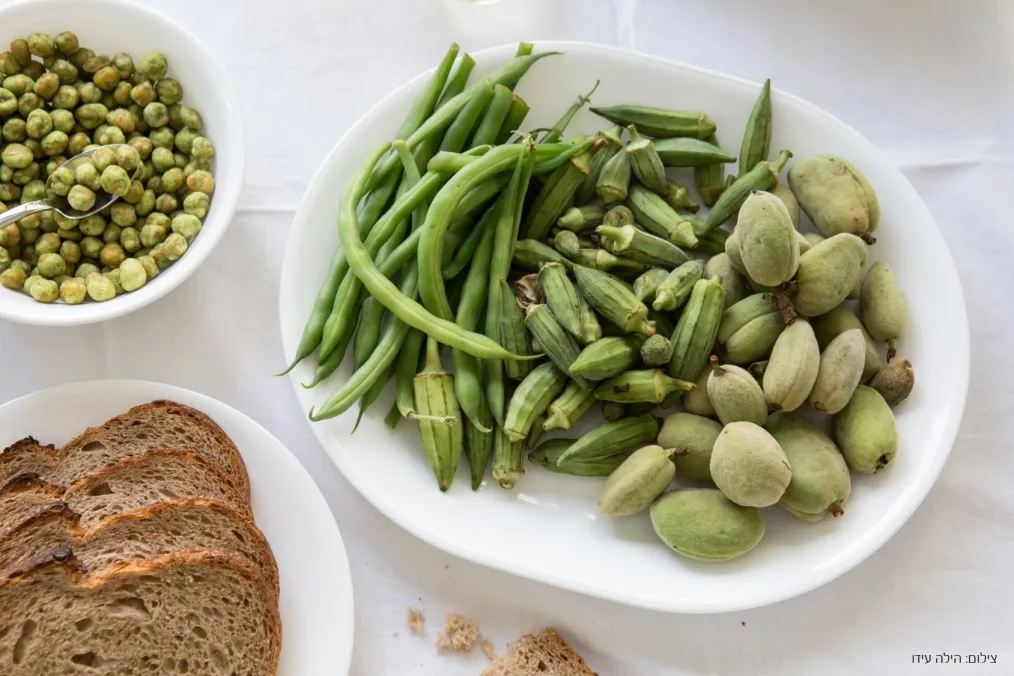 3 31 winter frost white 2